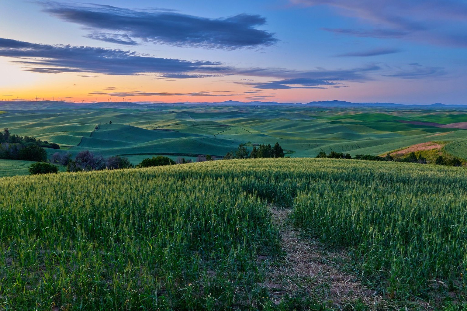 Photographing Place: a single photo of the Palouse in WA state. - image 1 - student project