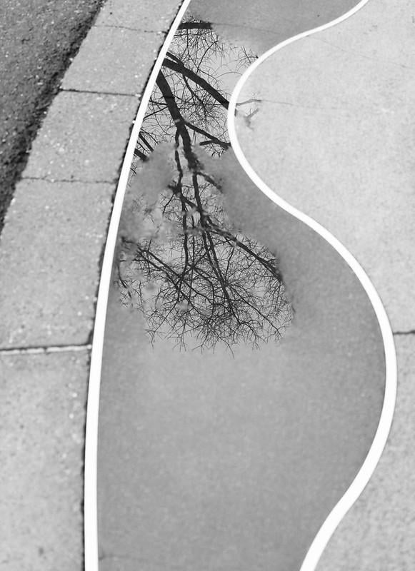 Class assignments total - image 7 - student project