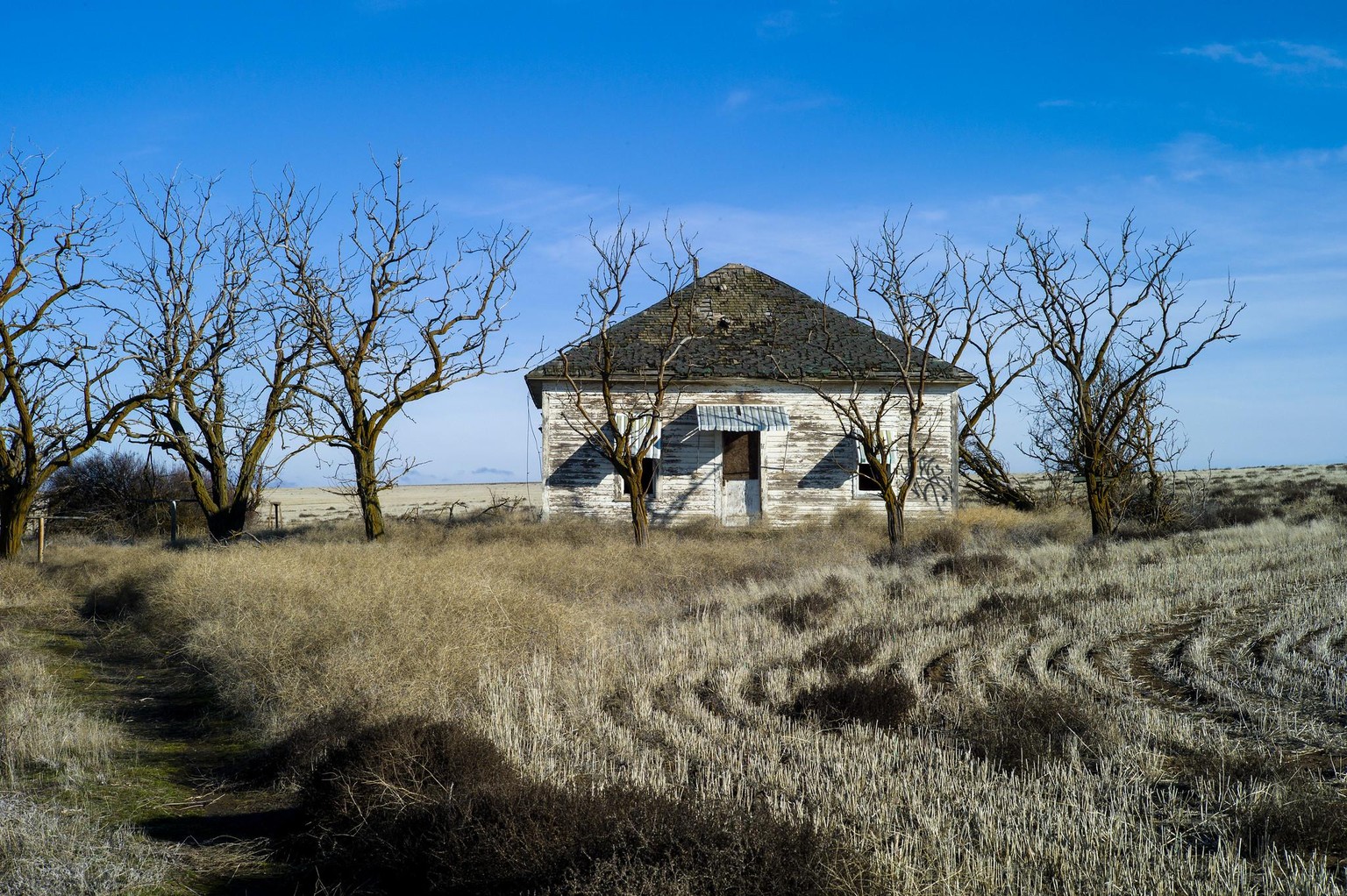 Rural landscape in color - image 2 - student project