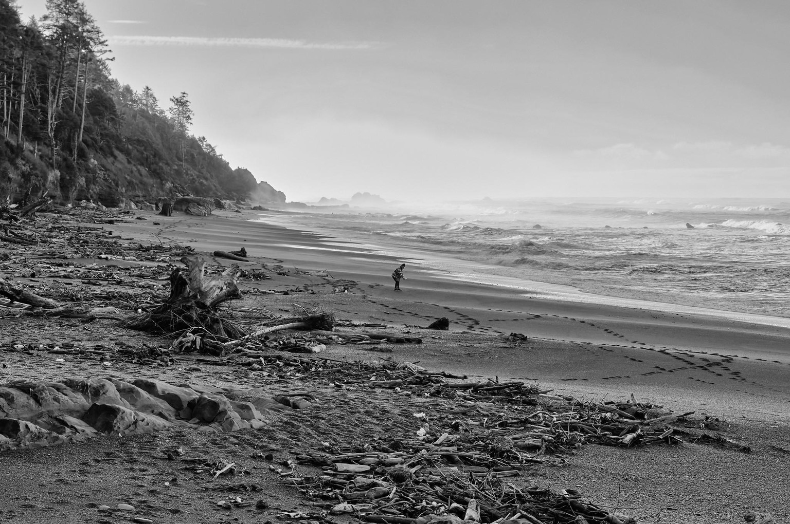 Fine Art B&W photos - image 2 - student project