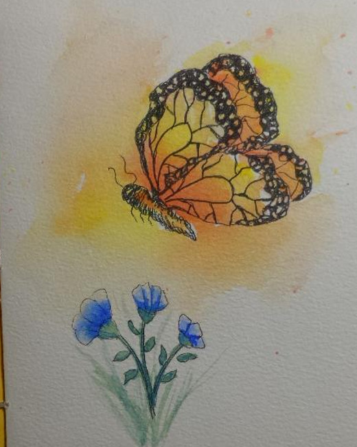 butterfly - image 3 - student project