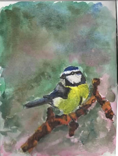 bird - image 1 - student project