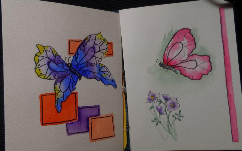 butterfly - image 2 - student project