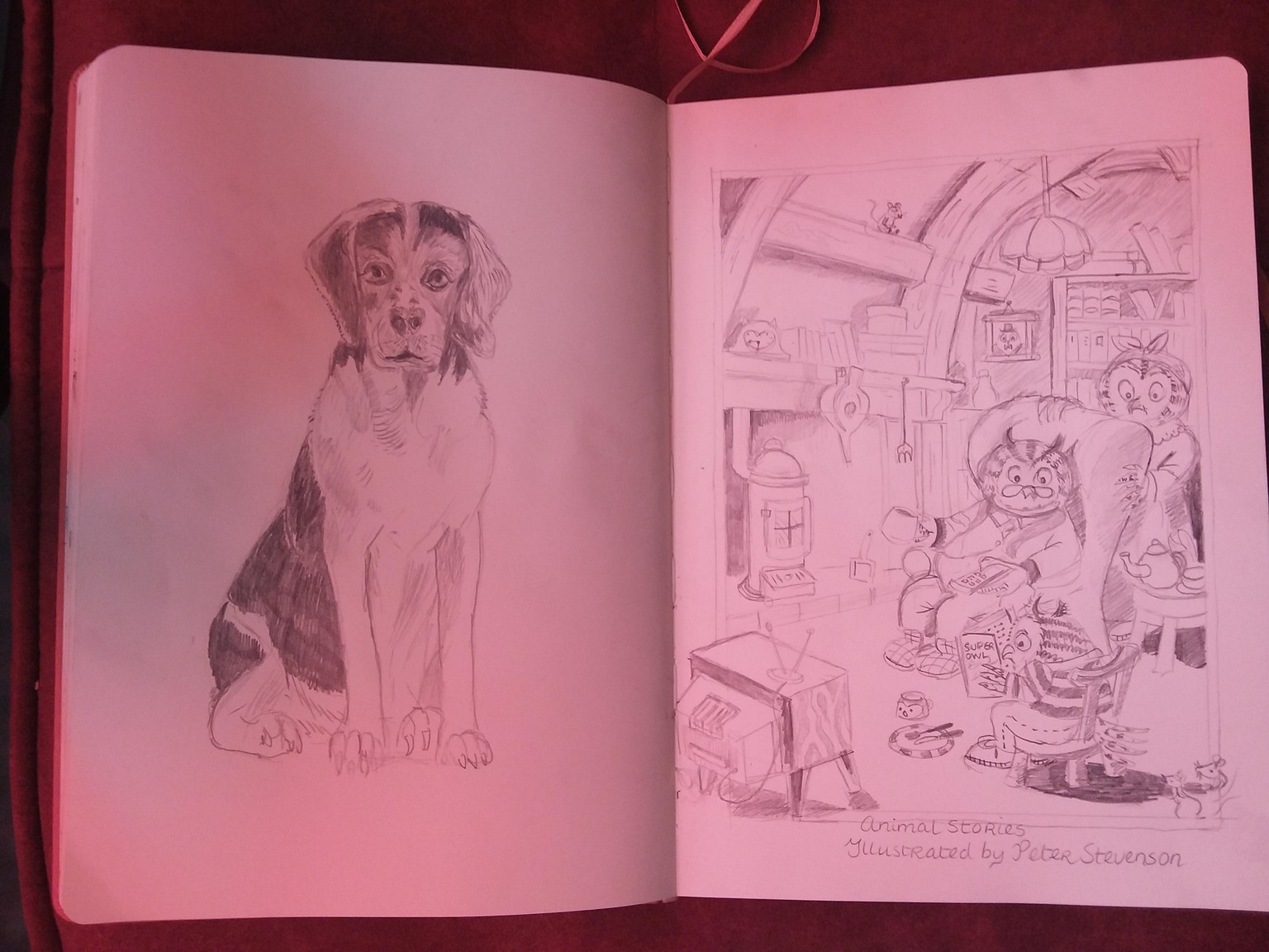 Two interiors, one cat and a dog - image 1 - student project