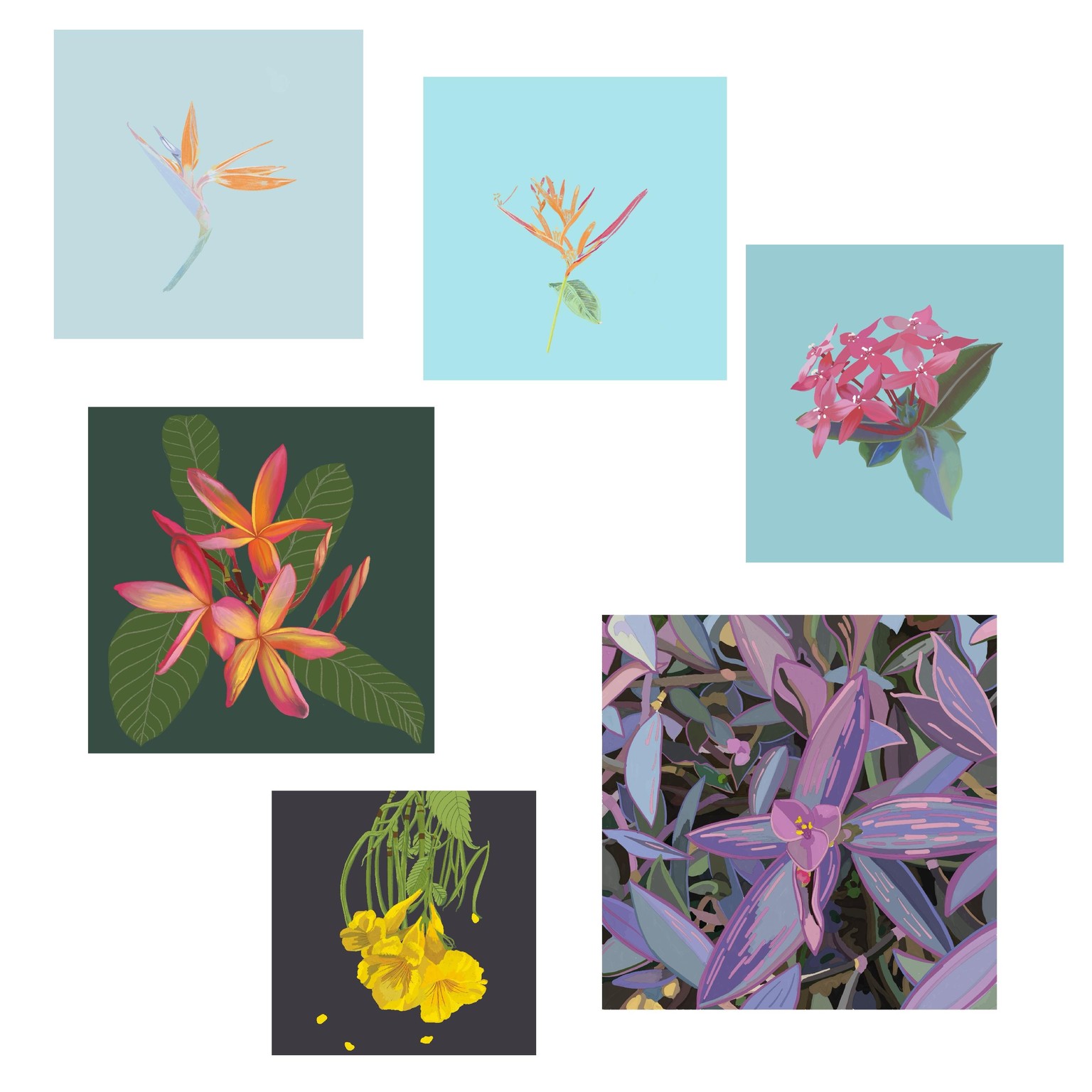Flowers - image 1 - student project