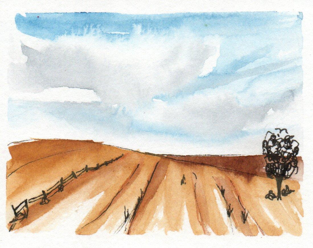 Playing with Landscapes - image 4 - student project