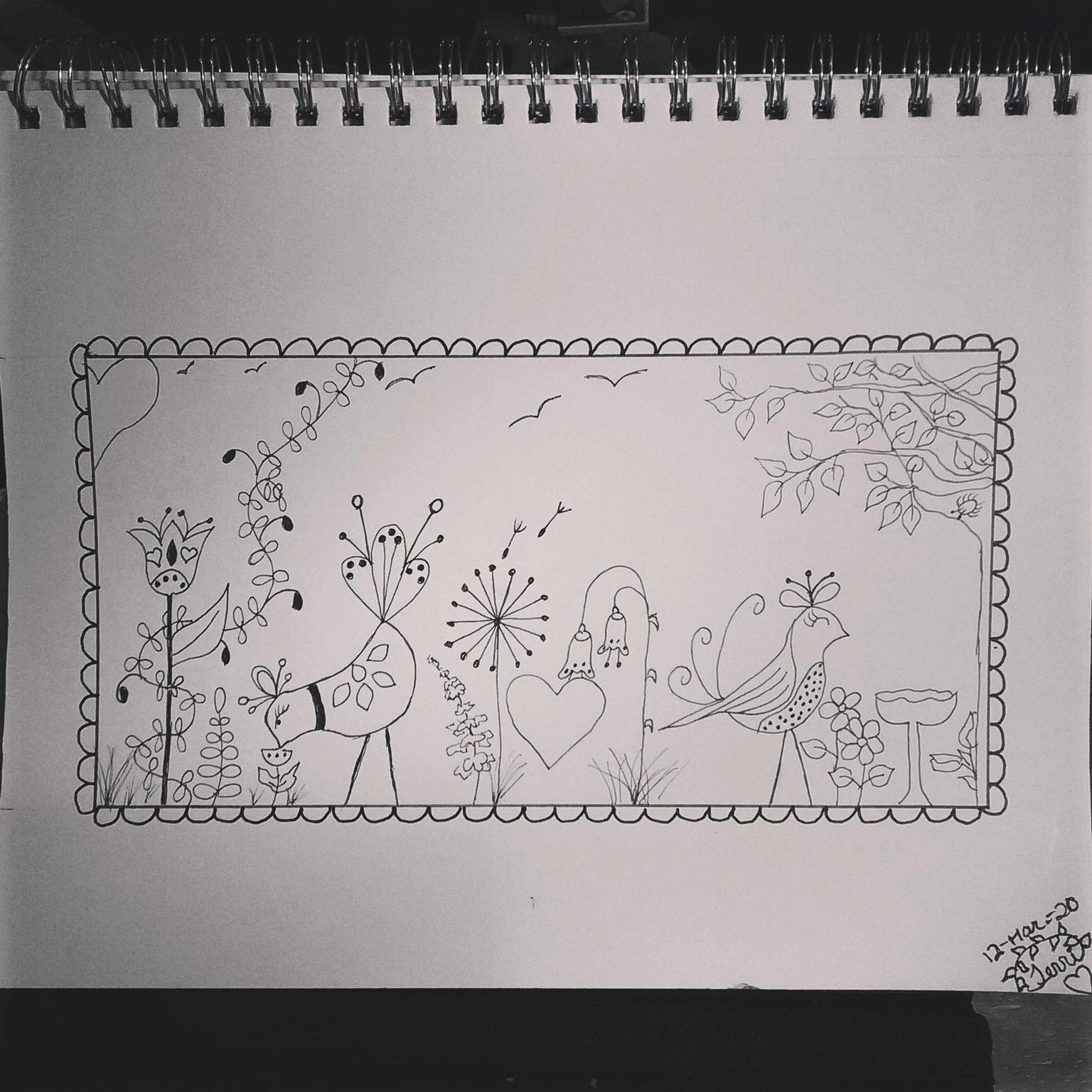 Terri's New Bird Family - image 1 - student project