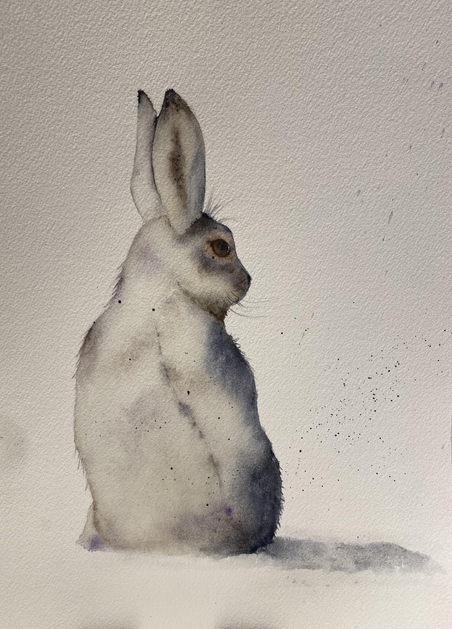Snow Hare - image 1 - student project