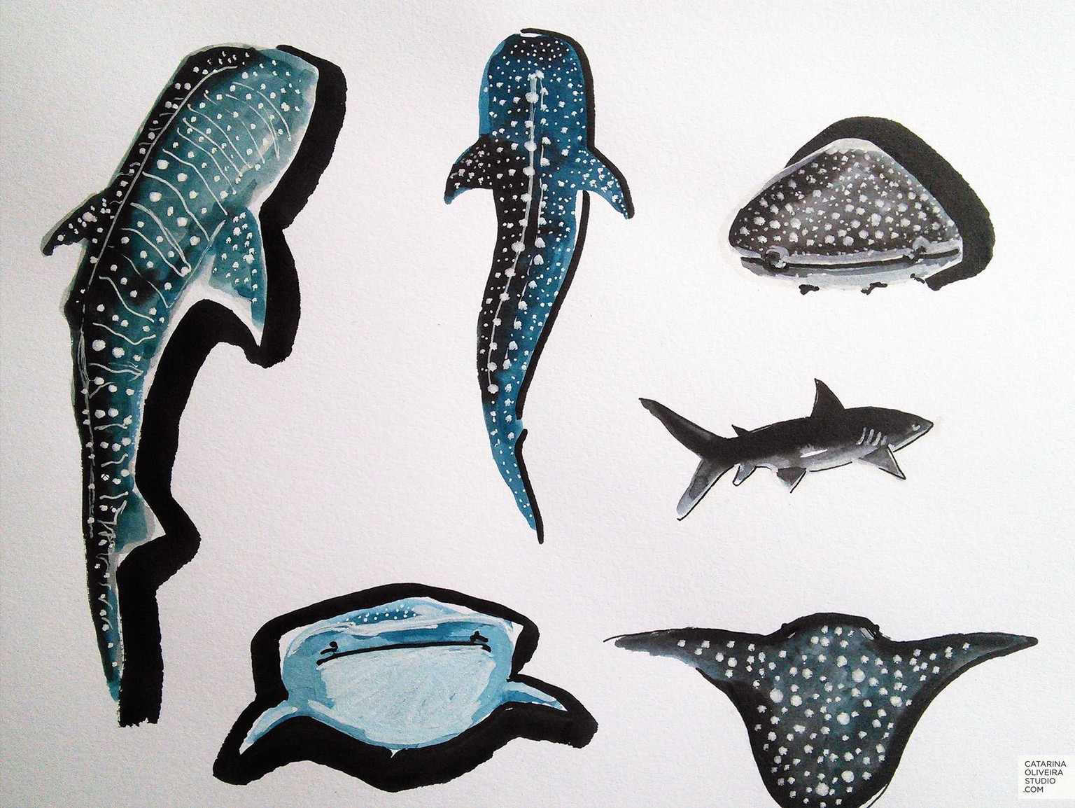 Sea Creatures & Cacti - image 3 - student project