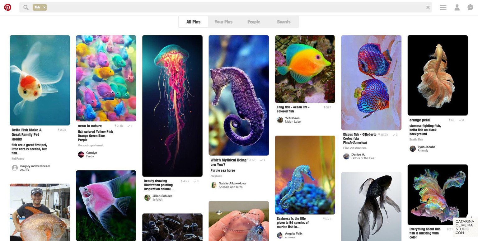 Sea Creatures & Cacti - image 1 - student project