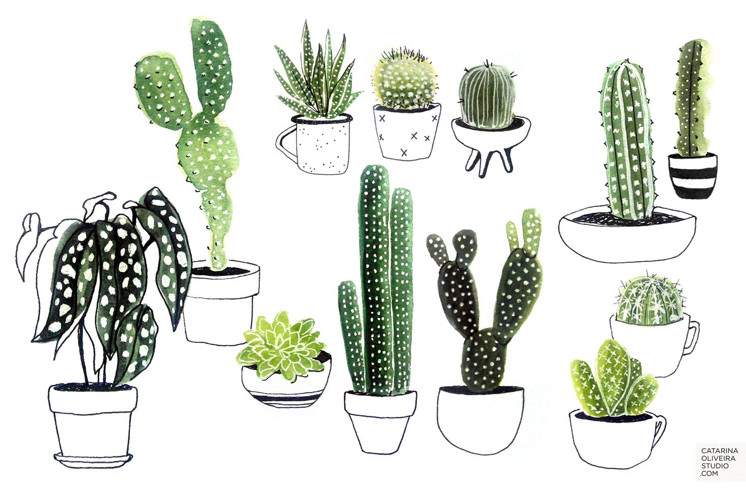 Sea Creatures & Cacti - image 6 - student project