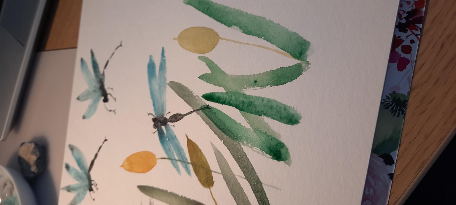 Libellules - image 3 - student project