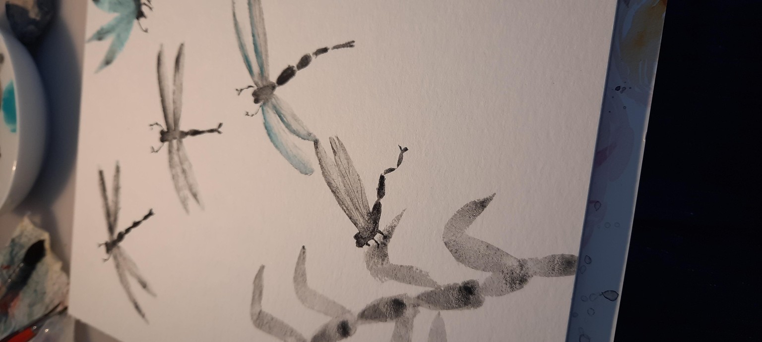 Libellules - image 1 - student project