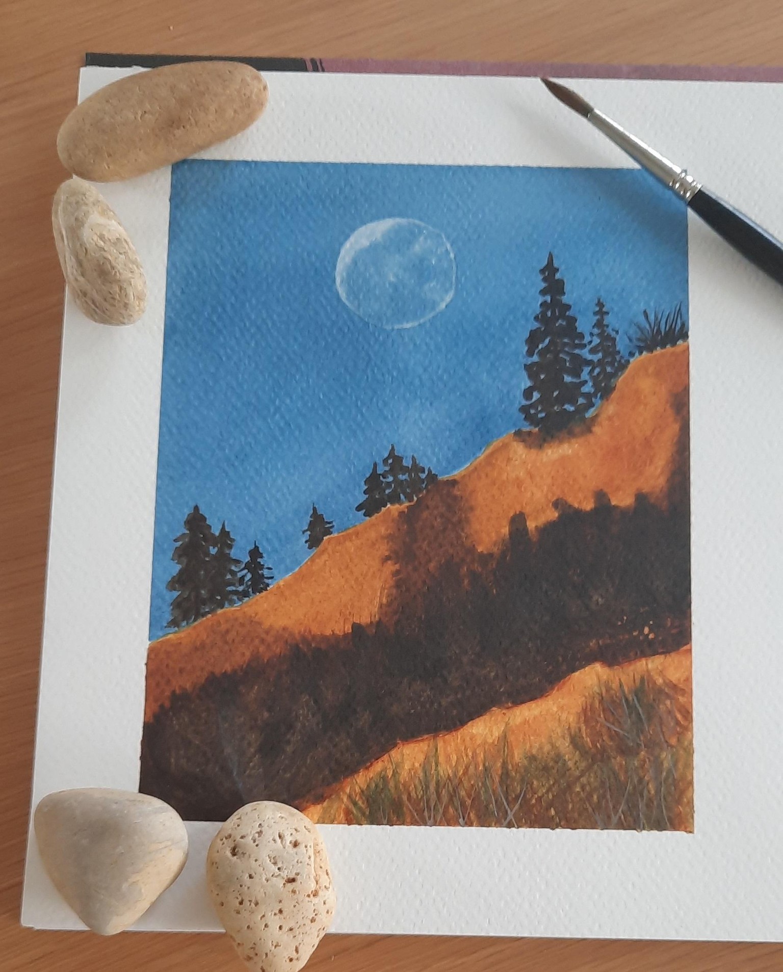Watercolour polaroids - image 1 - student project