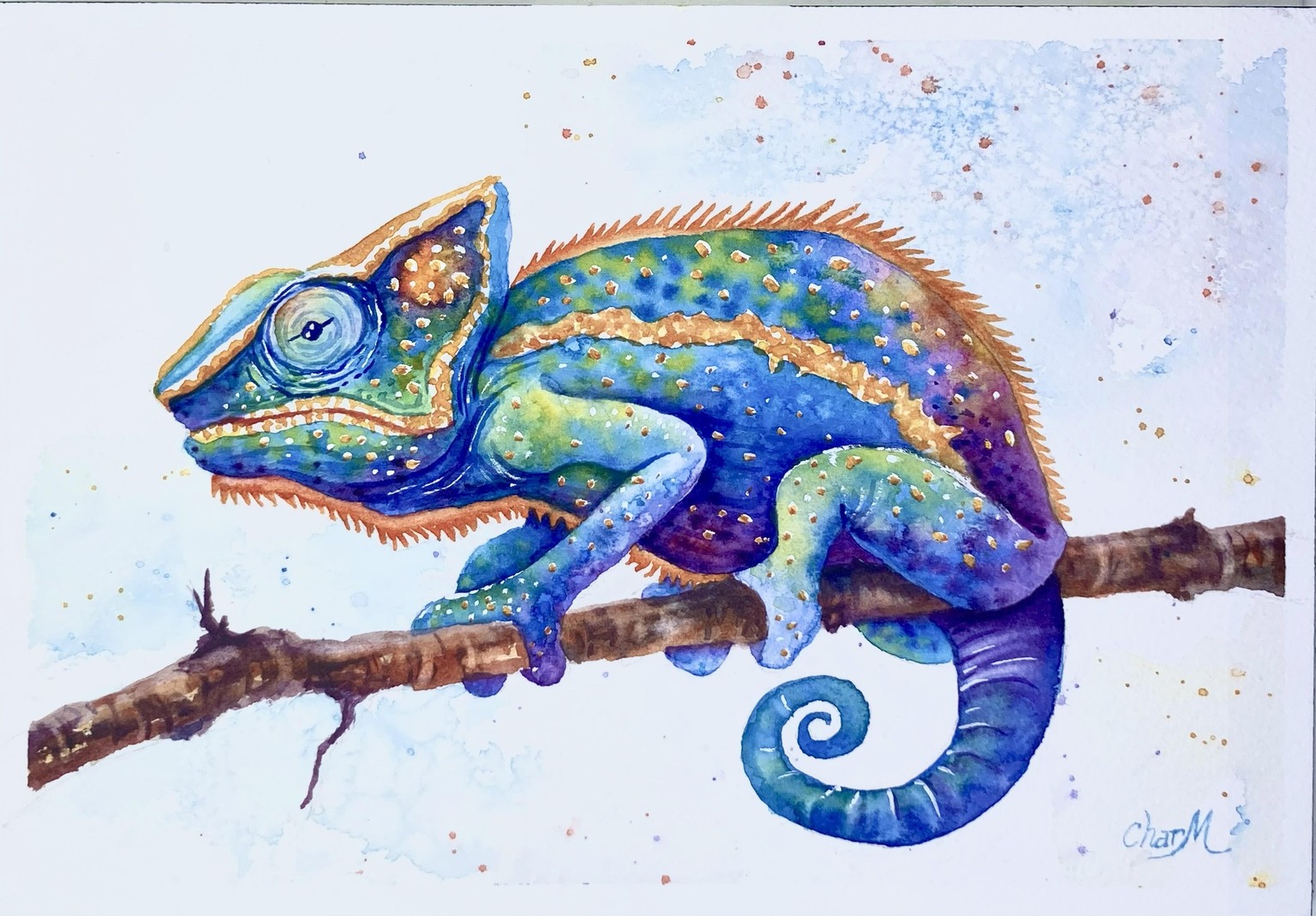 Colorful Chameleon - image 1 - student project