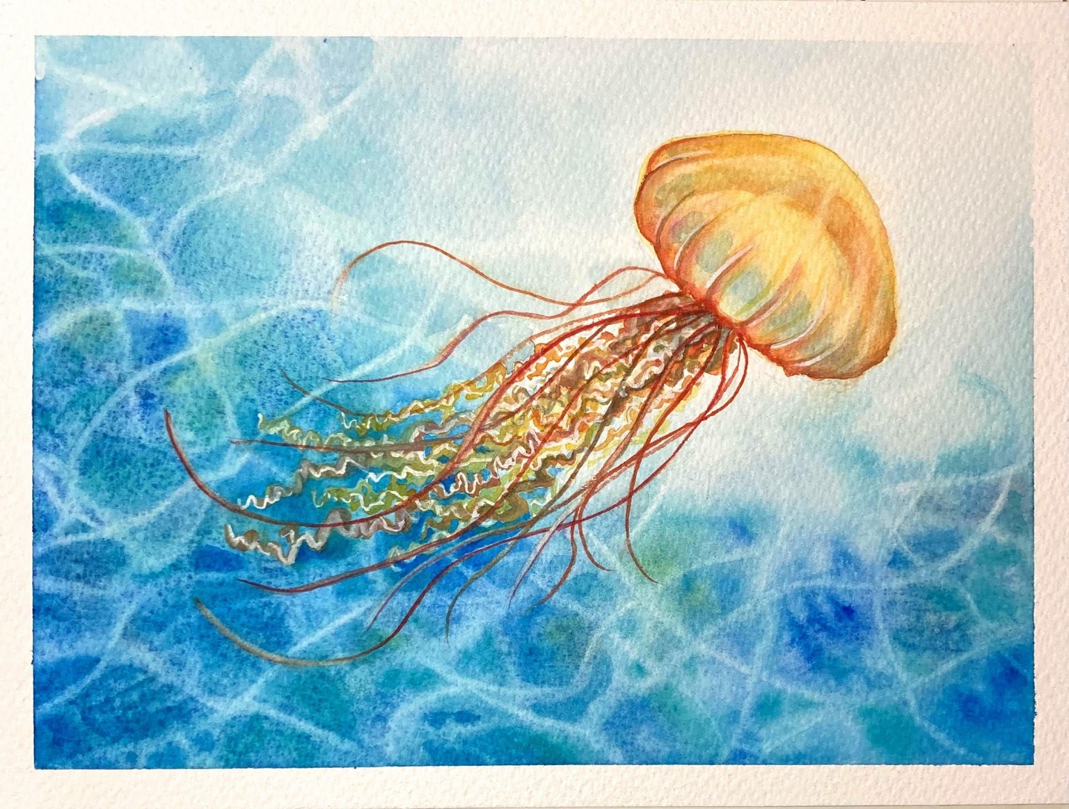 Jellyfish exploration series - image 2 - student project