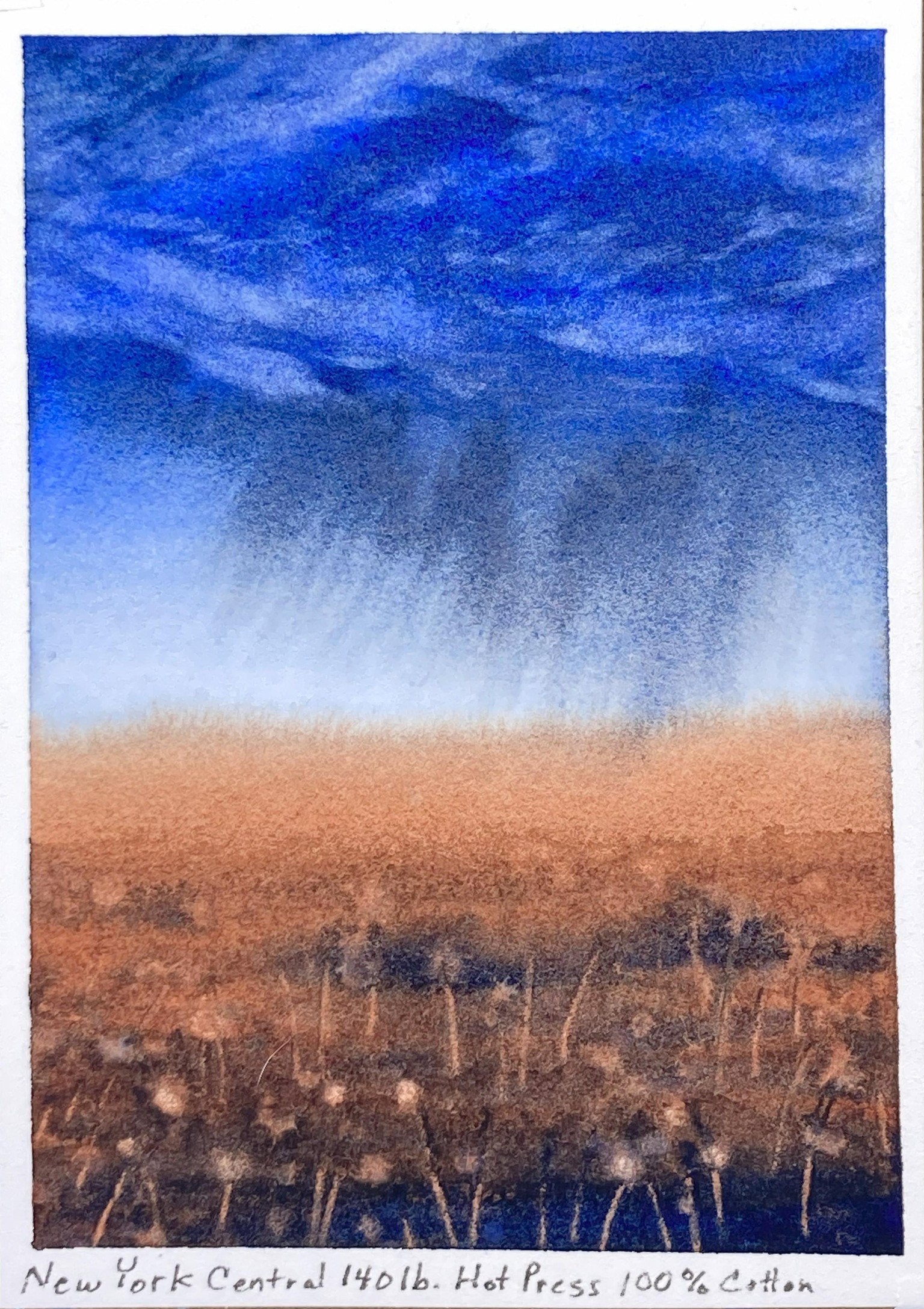 Simple Washes - image 5 - student project