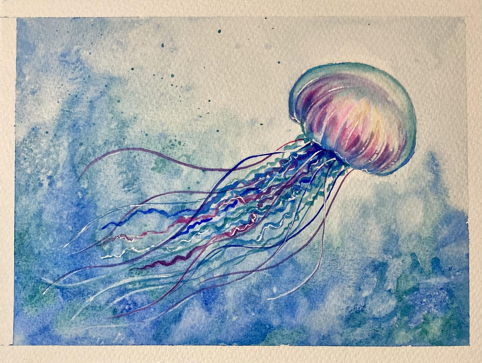 Jellyfish exploration series - image 4 - student project