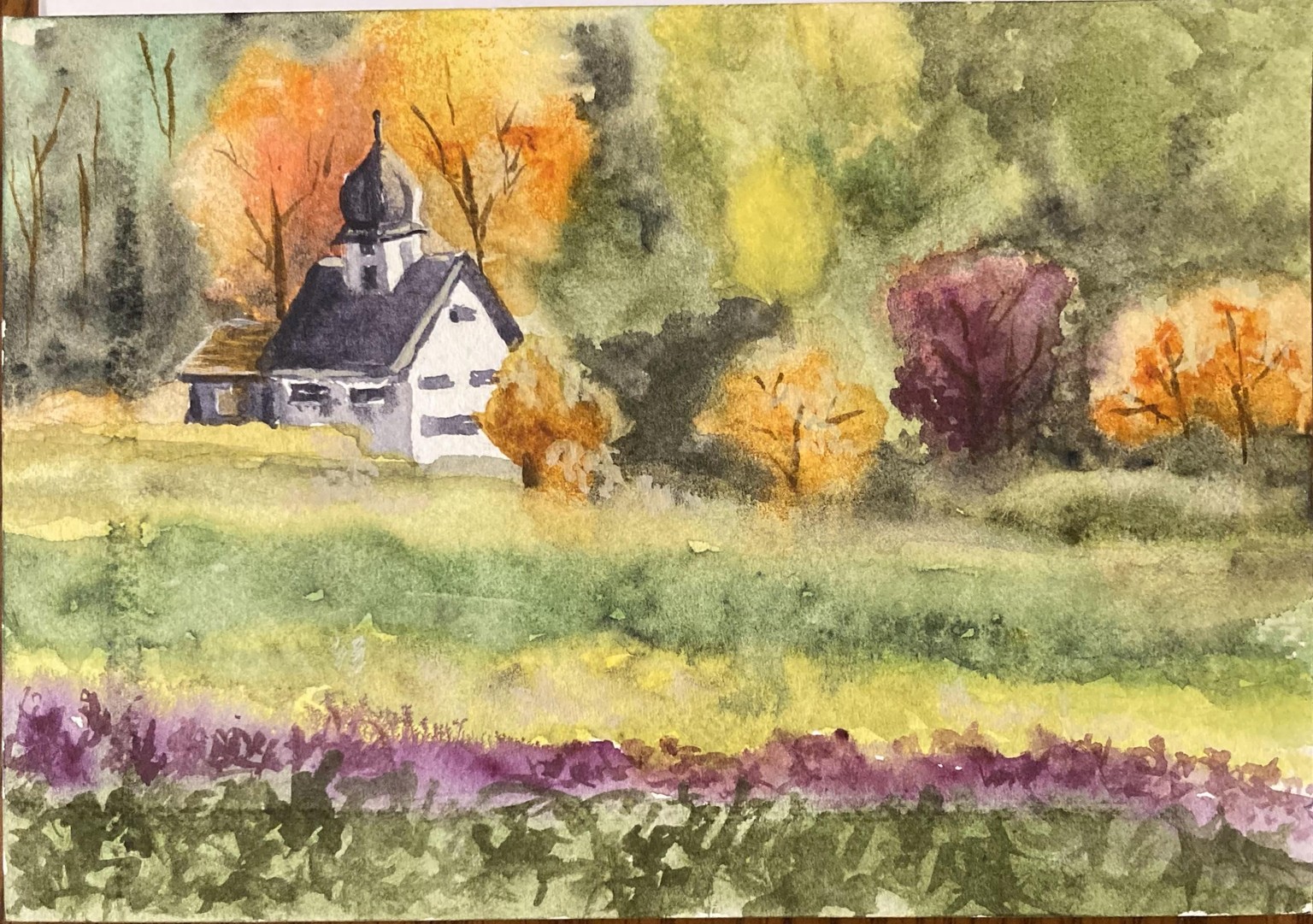 Atmospheric Vineyard - image 1 - student project