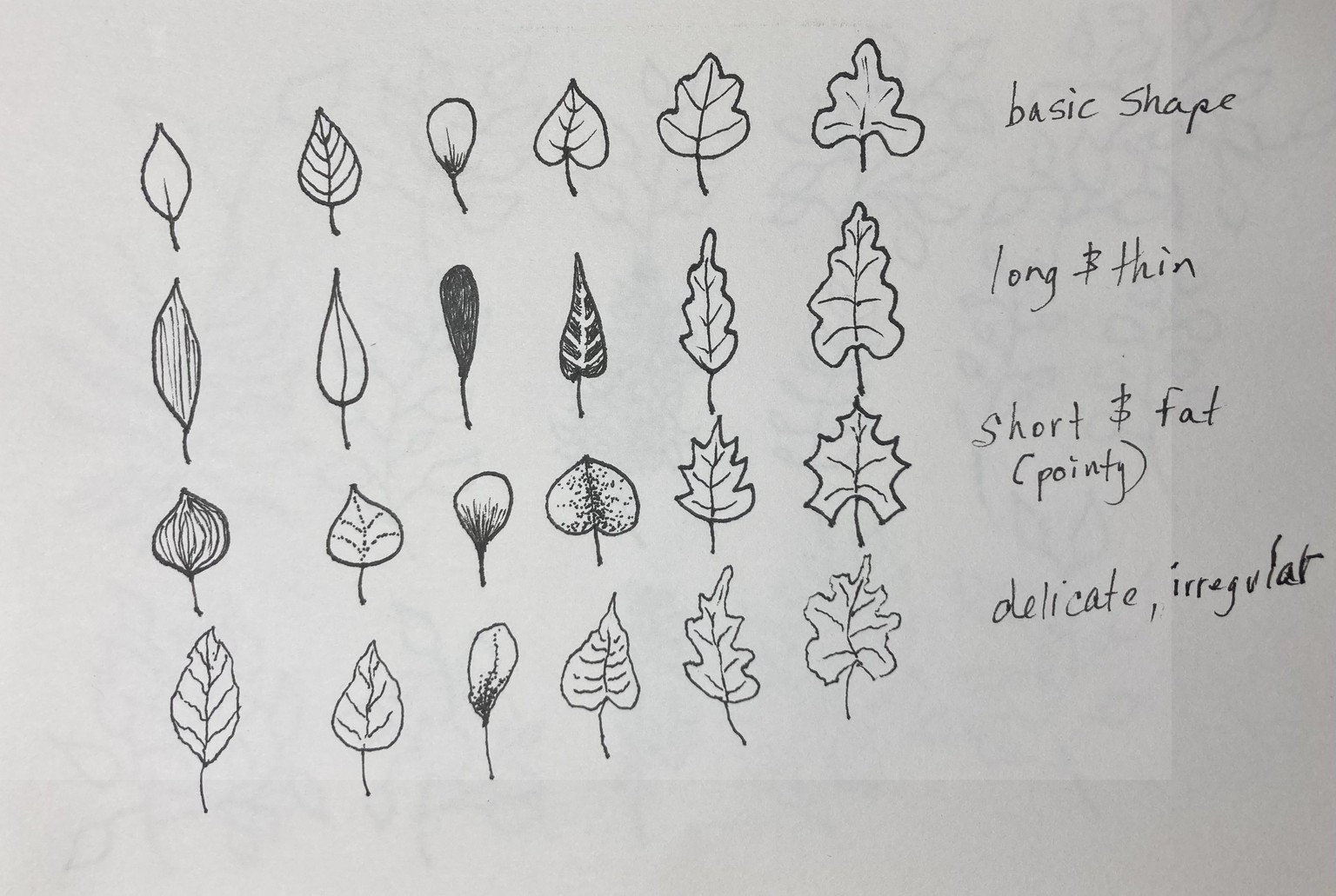 Botanical Doodles - image 3 - student project