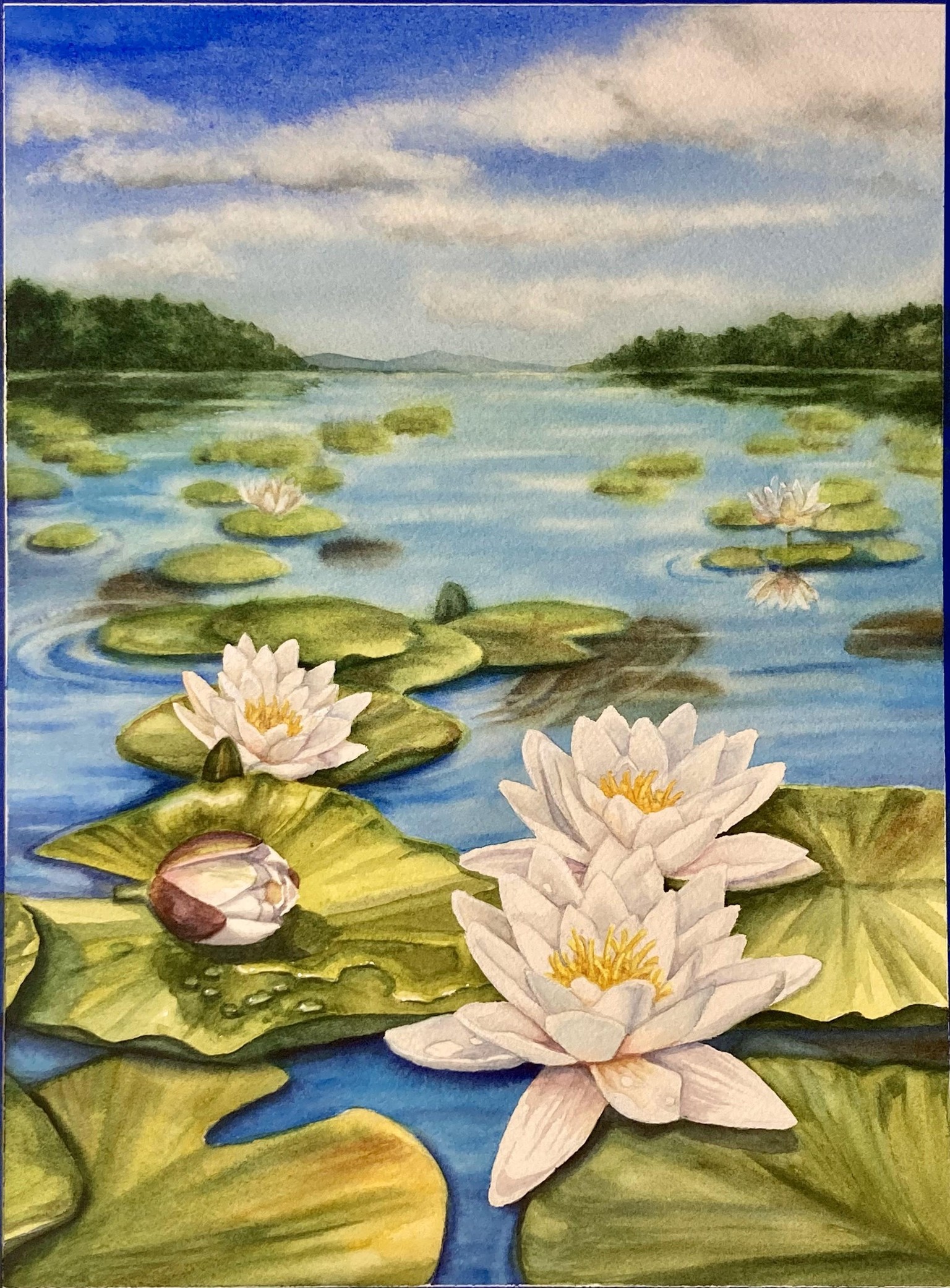 Water Lily Pond - showing perspective - image 1 - student project