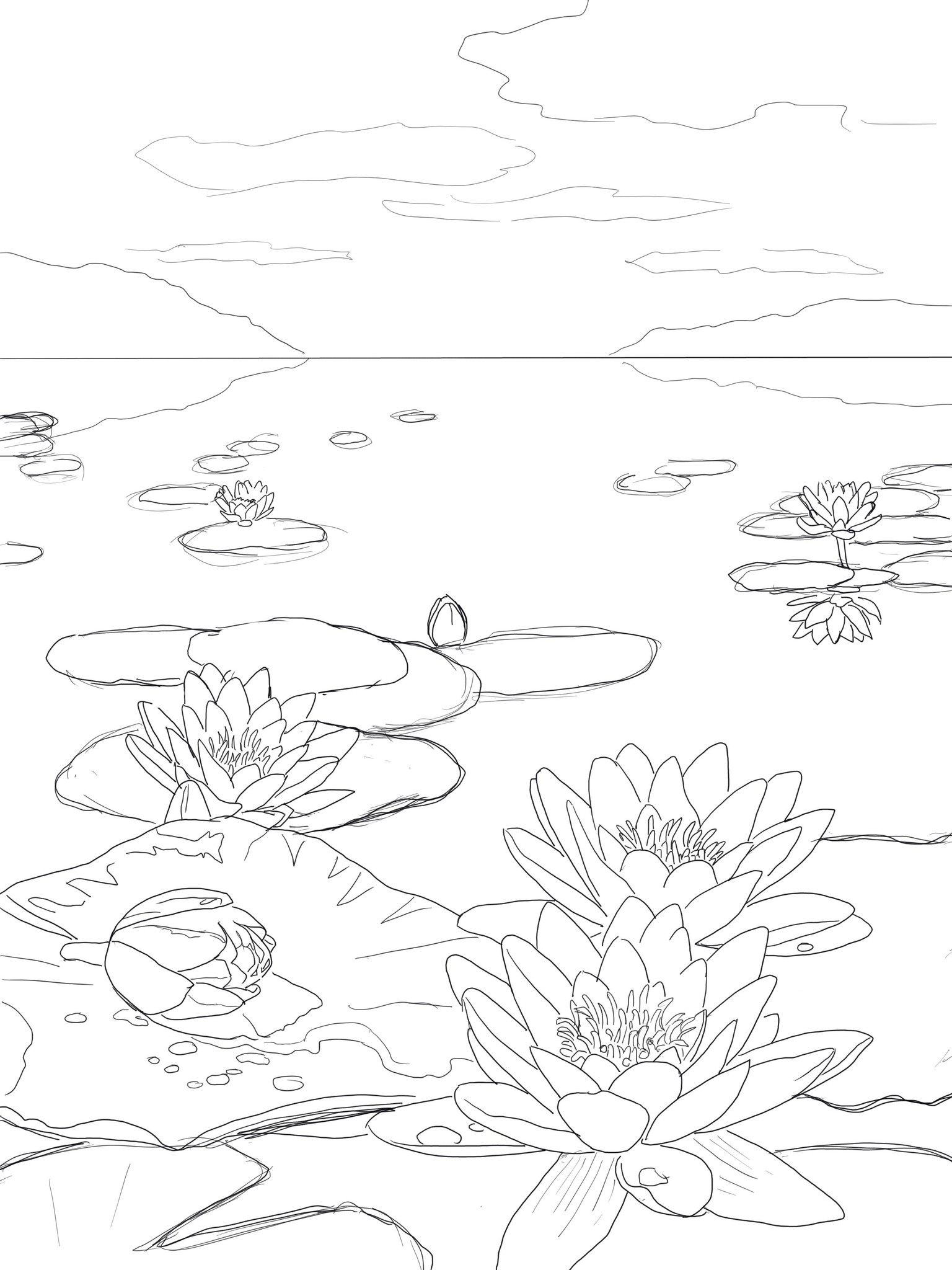 Water Lily Pond - showing perspective - image 2 - student project