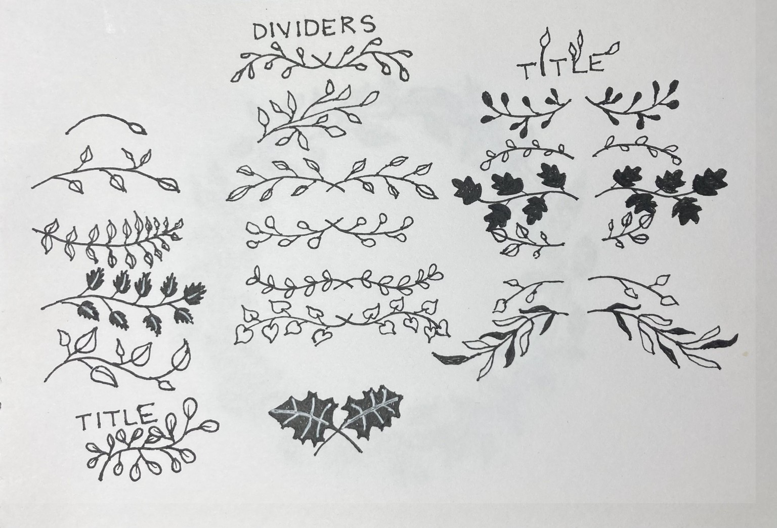 Botanical Doodles - image 2 - student project