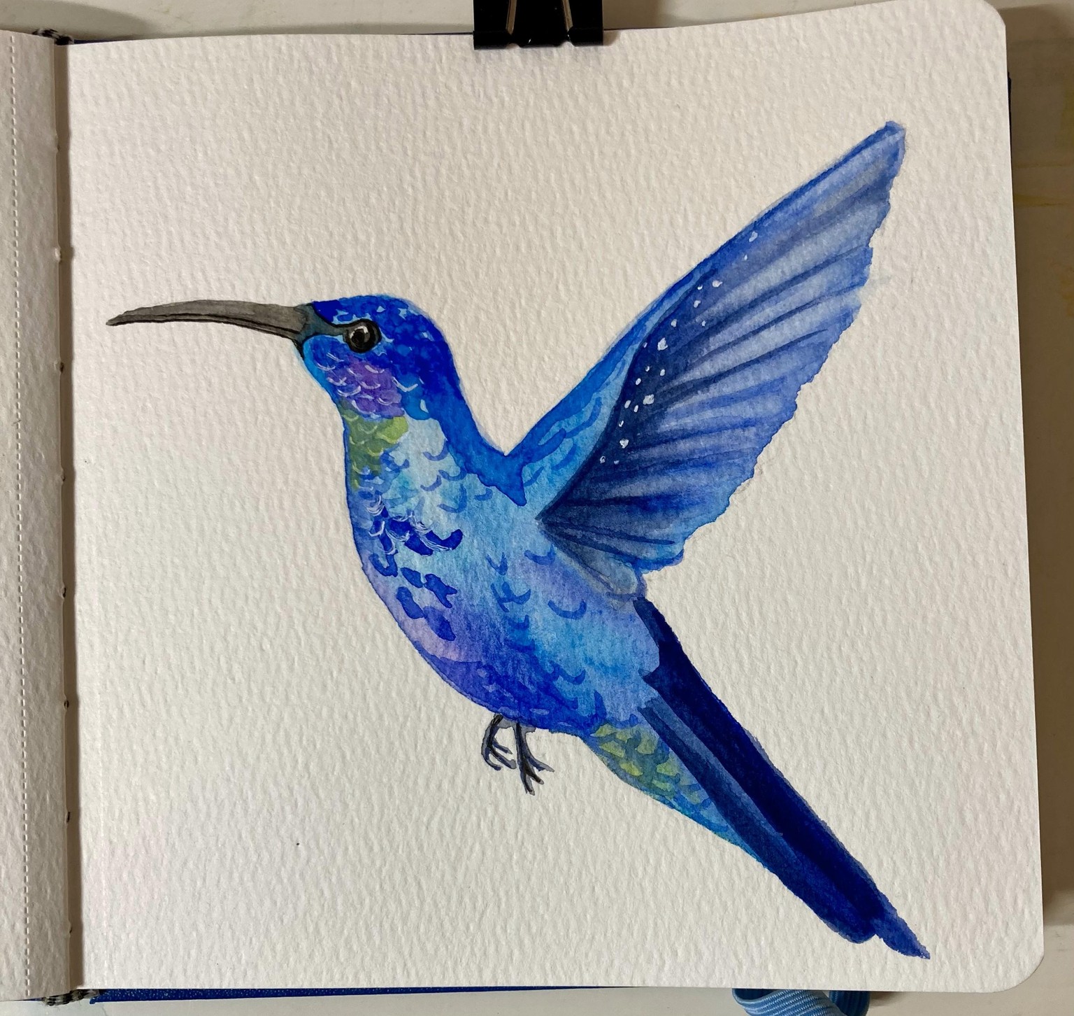 #ShowYourArt_Scholarship2024 - Hummingbird - image 1 - student project