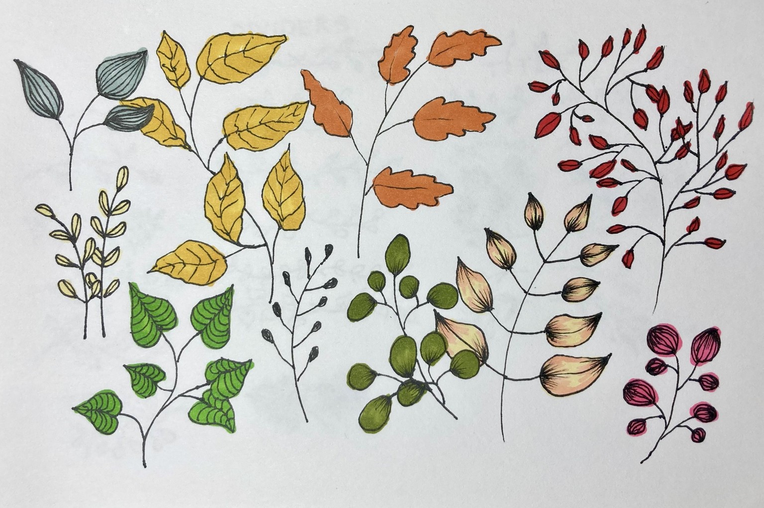 Botanical Doodles - image 4 - student project