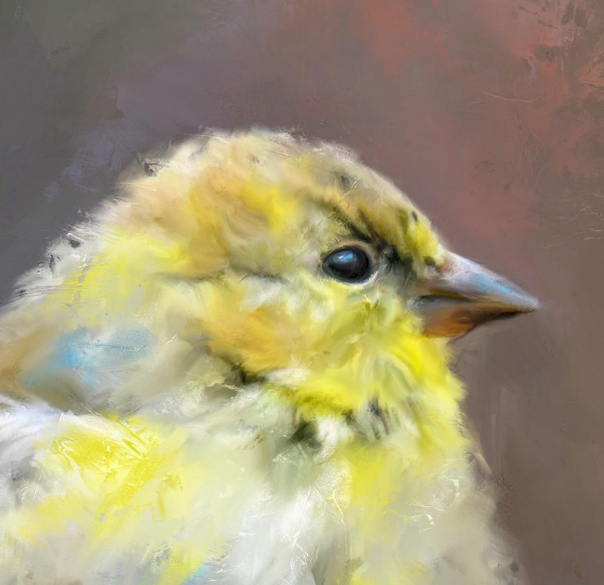 Glorious Goldfinch - image 1 - student project