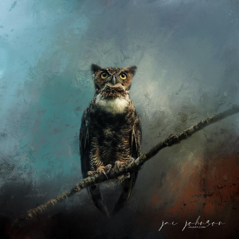 Fine Art Owl Portrait - image 1 - student project