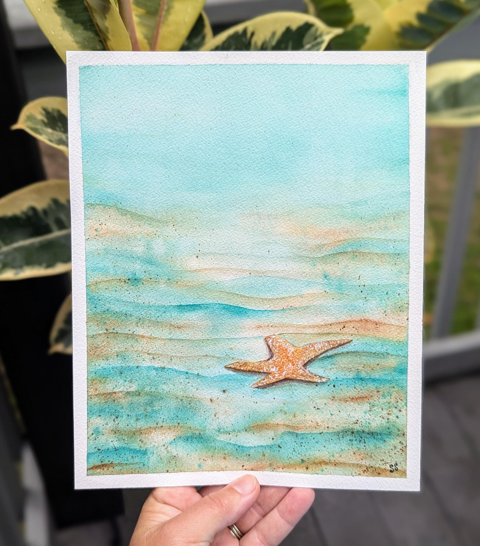 Starfish - image 2 - student project