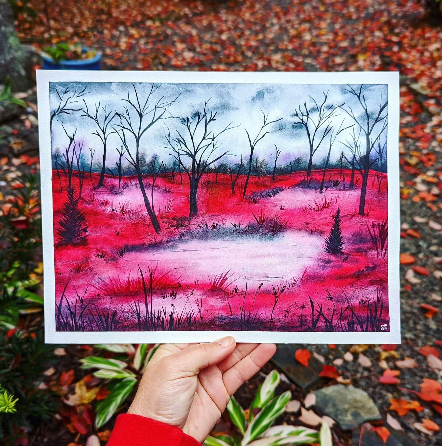 Dreamy Red Landscape - image 1 - student project