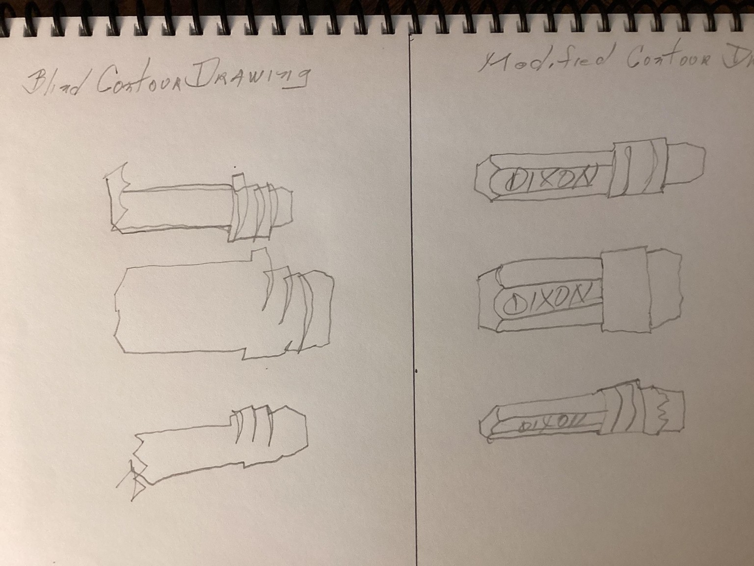 Blind and modified contour drawing - image 1 - student project