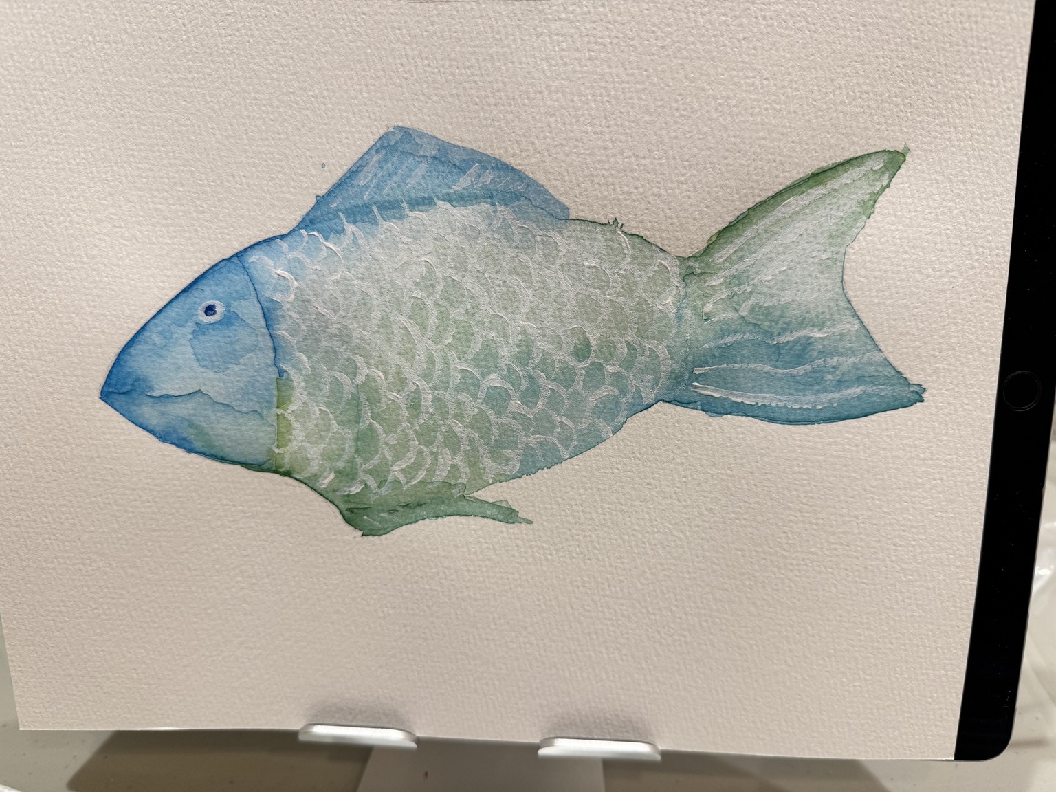 First Fish - image 1 - student project