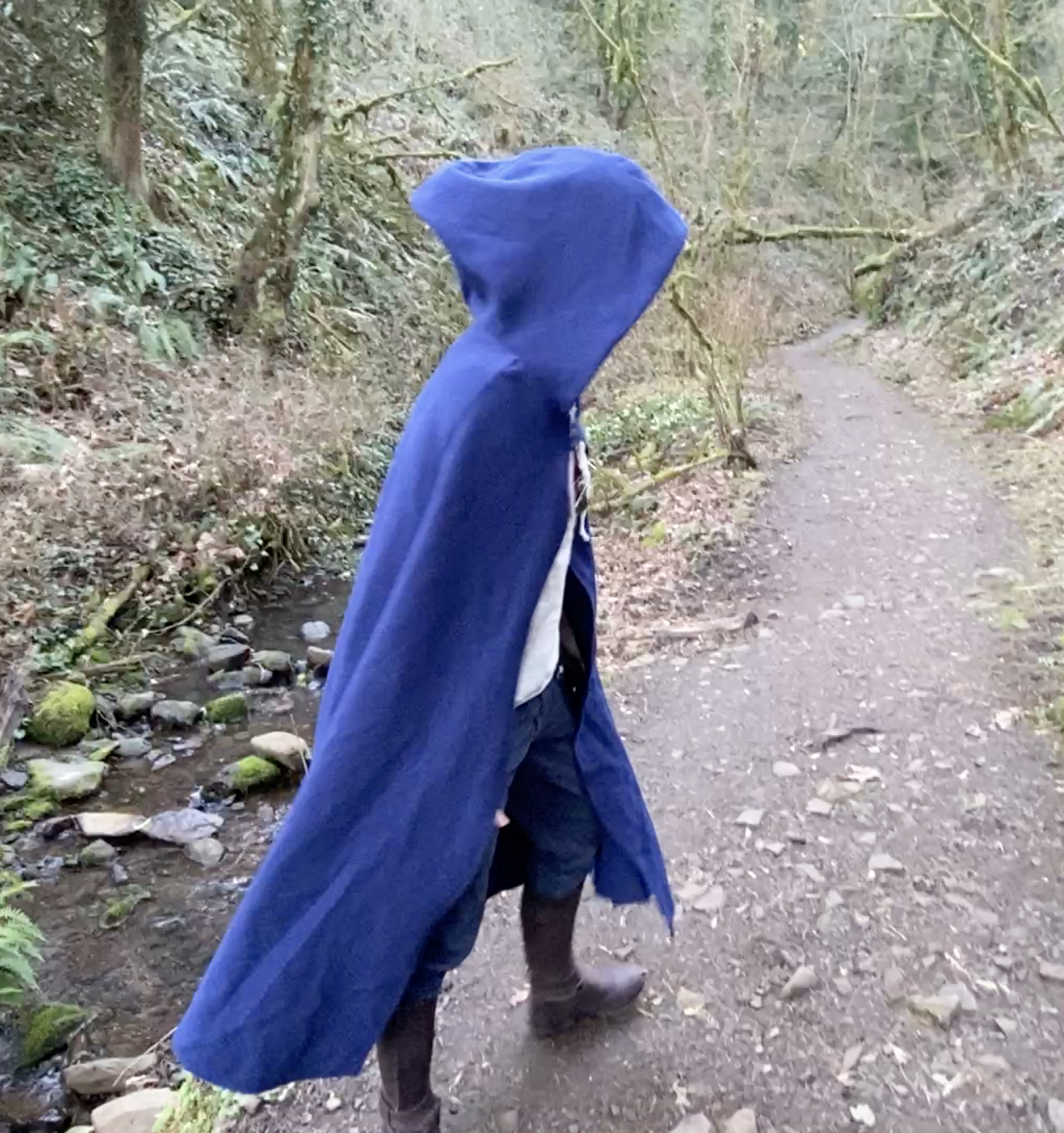 Forest Cape - image 4 - student project