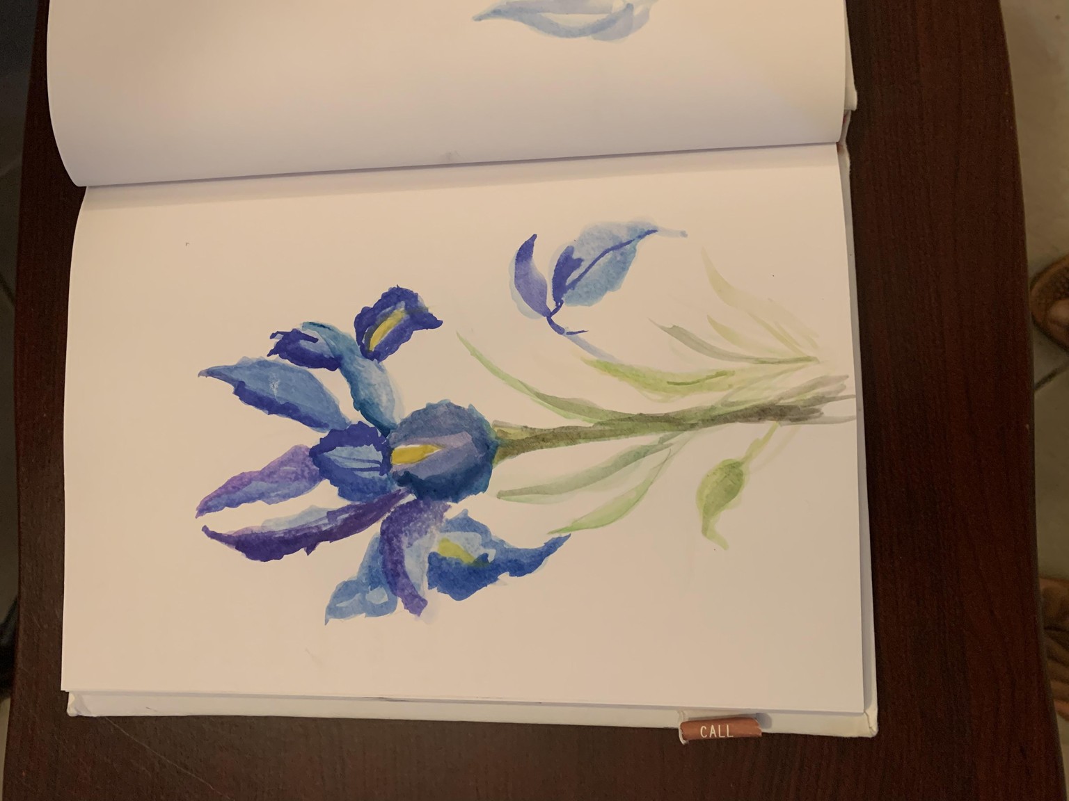 Lootanical watercolor Iris - image 1 - student project