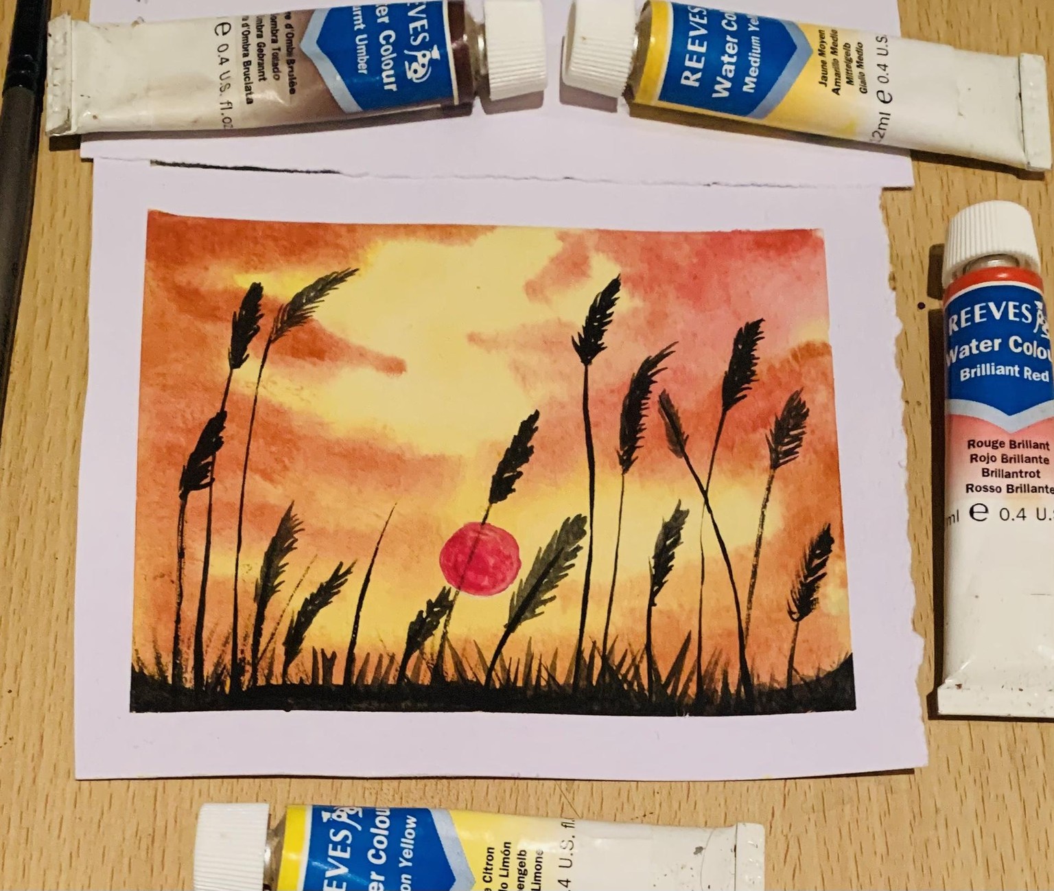 Mini Sunset - wild plants - image 1 - student project