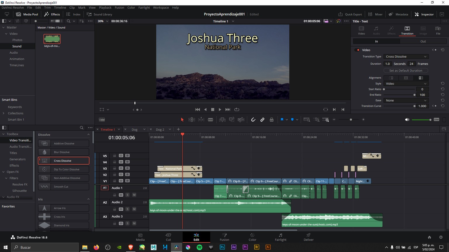 Joshua Tree + Iniciativas de Paz - image 3 - student project