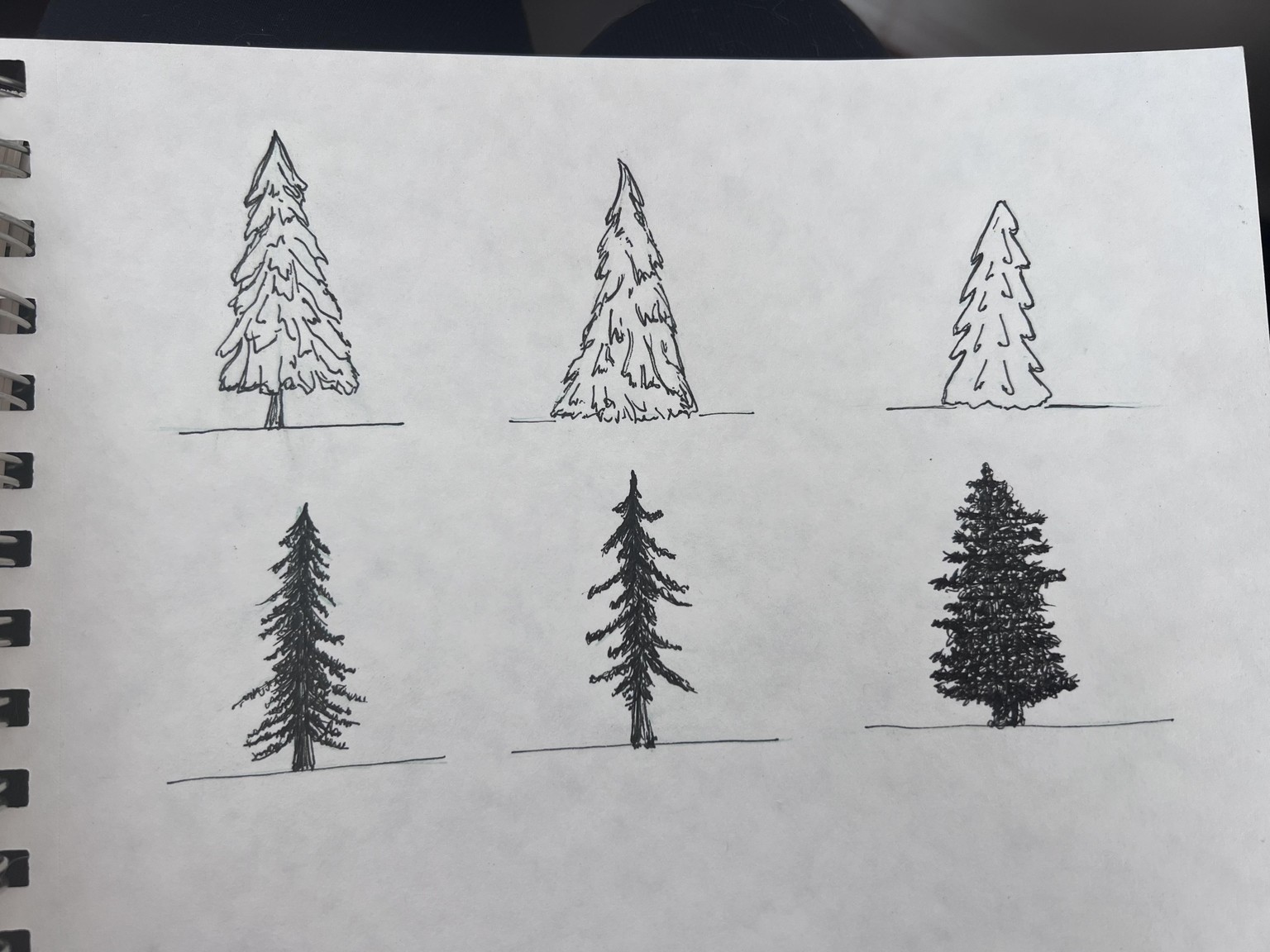 Trees - image 1 - student project