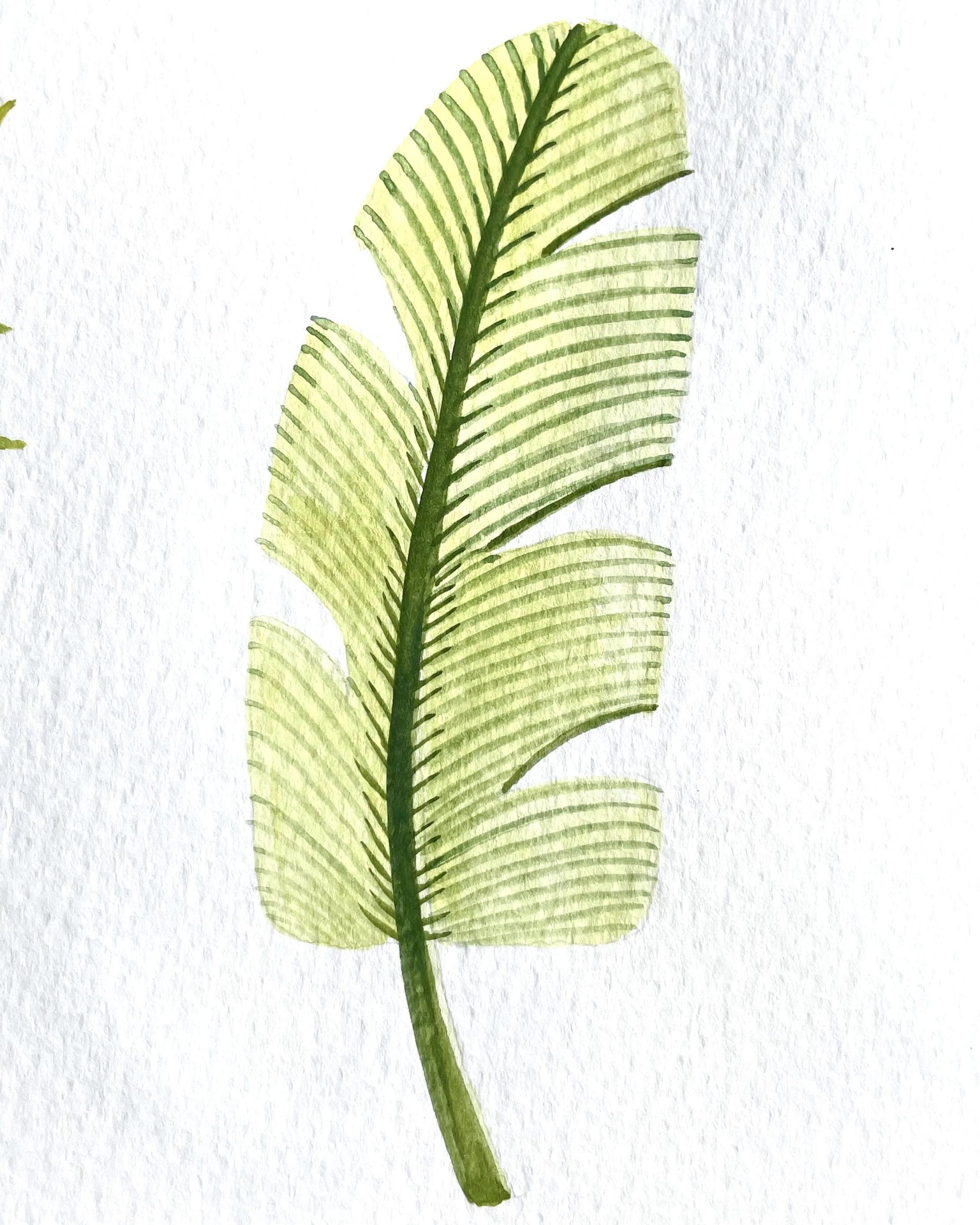 Tropical leaves in gouache - image 3 - student project