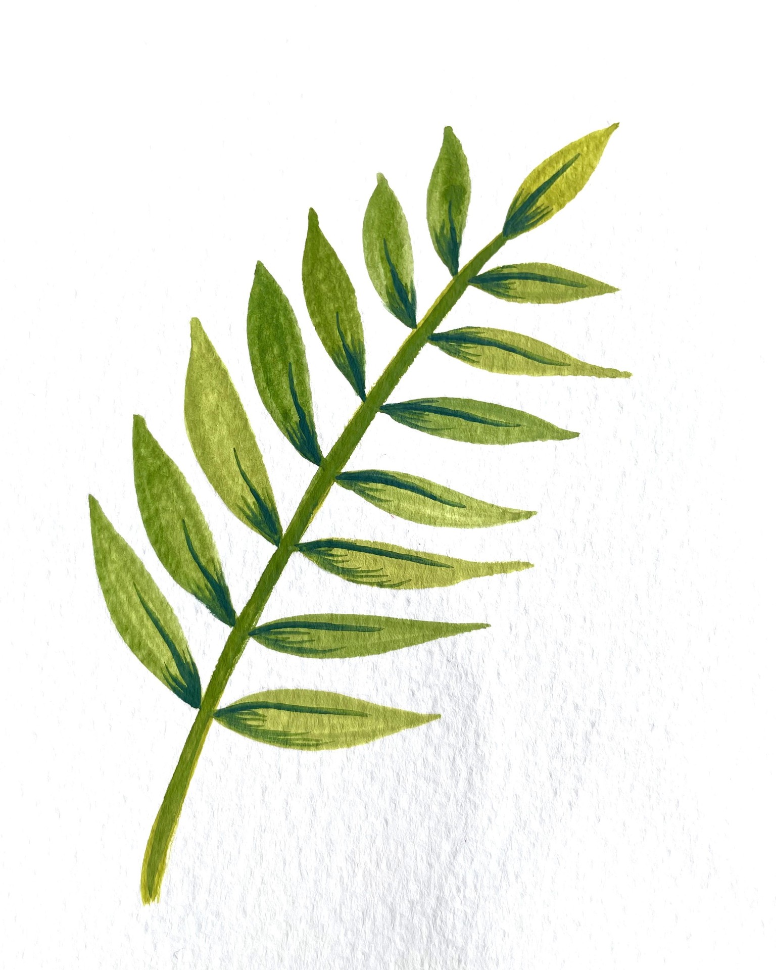 Tropical leaves in gouache - image 4 - student project