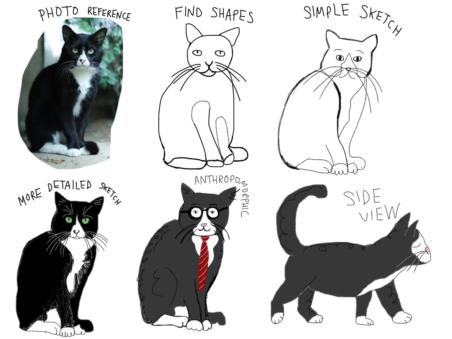 Cat sketches - image 1 - student project