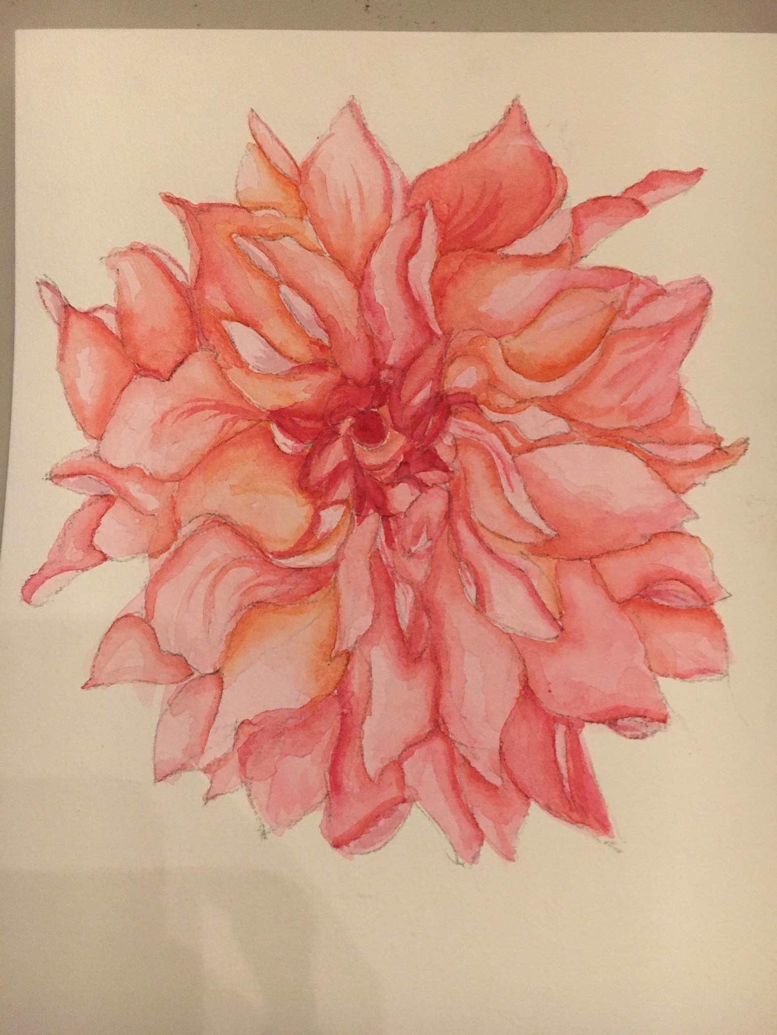 Dahlias - image 2 - student project
