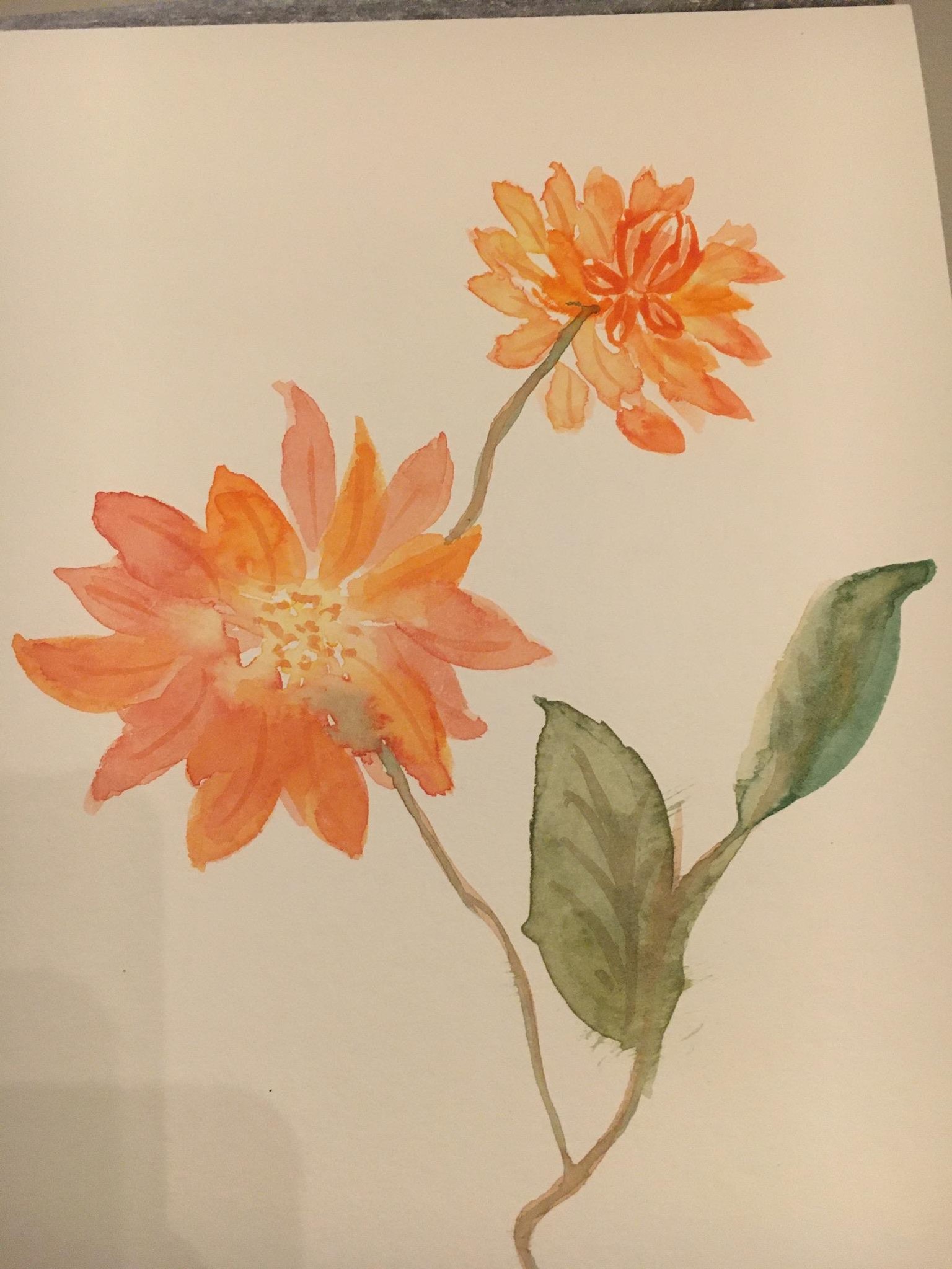 Dahlias - image 1 - student project