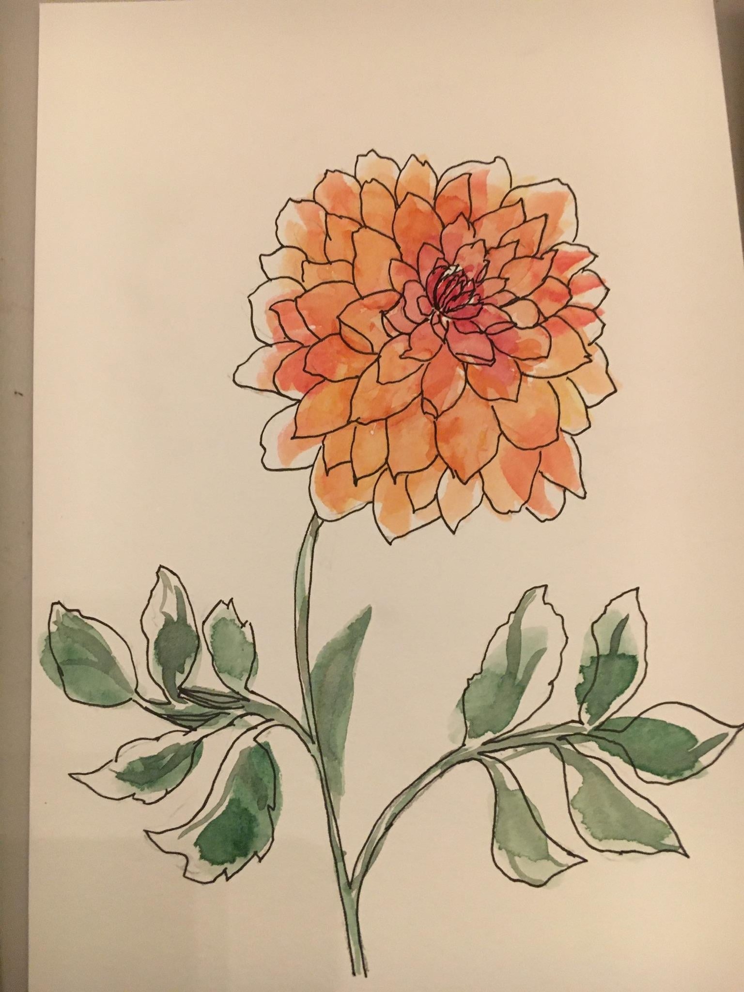 Dahlias - image 3 - student project