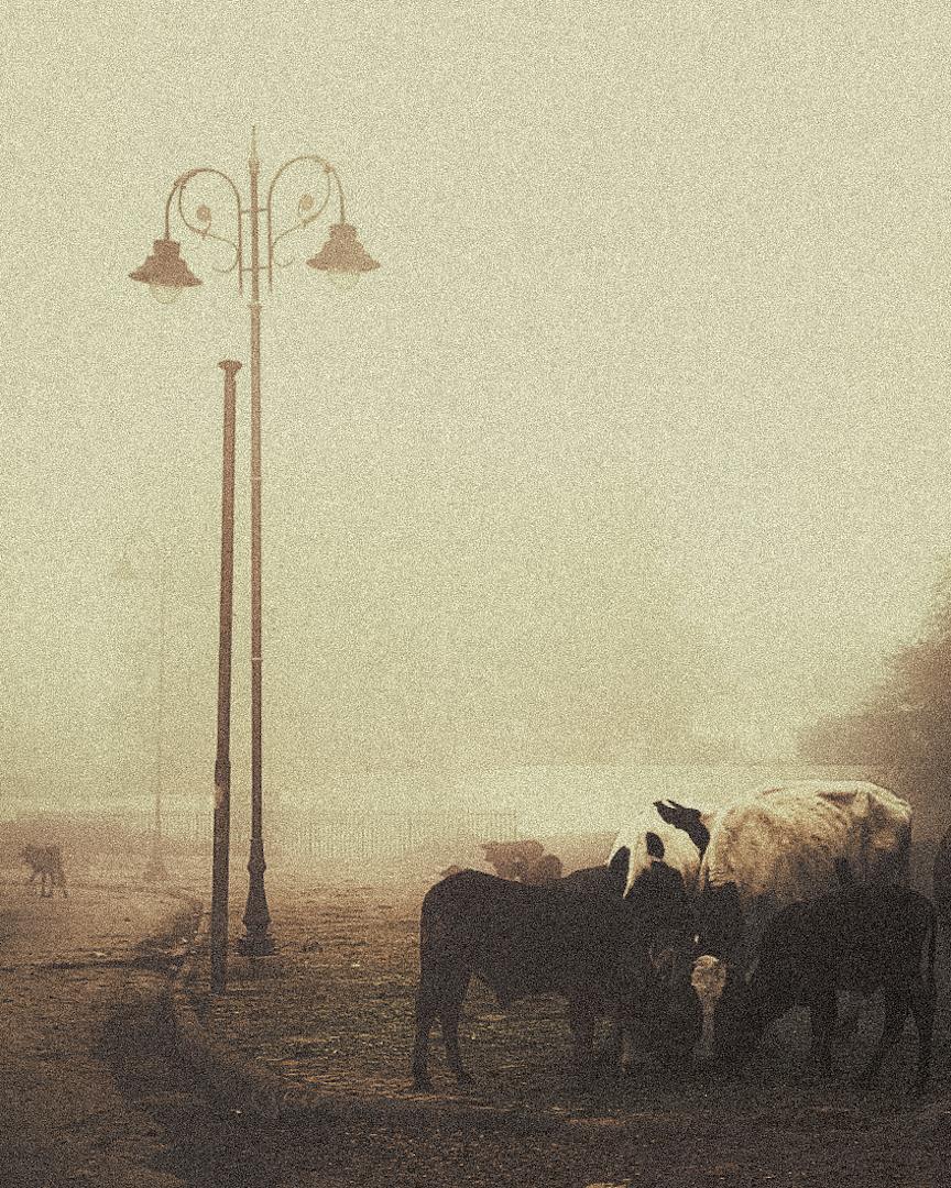 Street photography - image 1 - student project