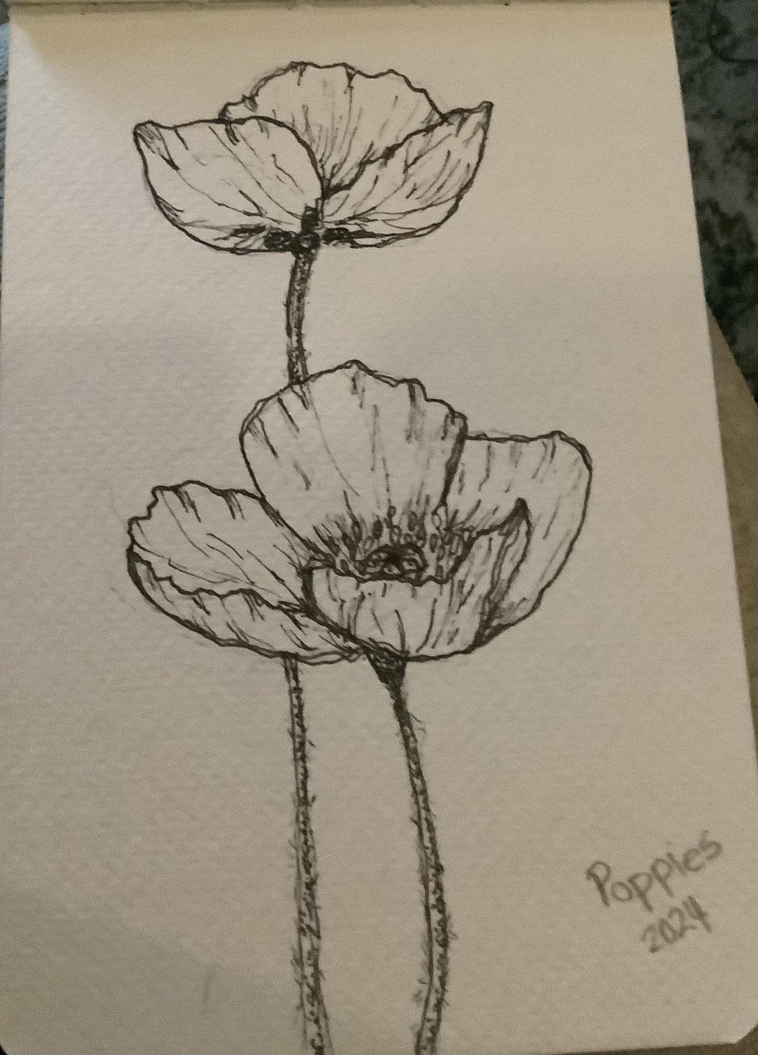 Line Drawing- Flowers - image 1 - student project