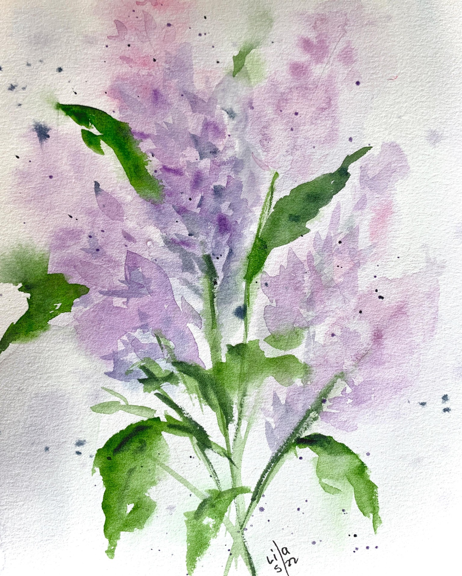 Sweet peas and lilacs - image 1 - student project