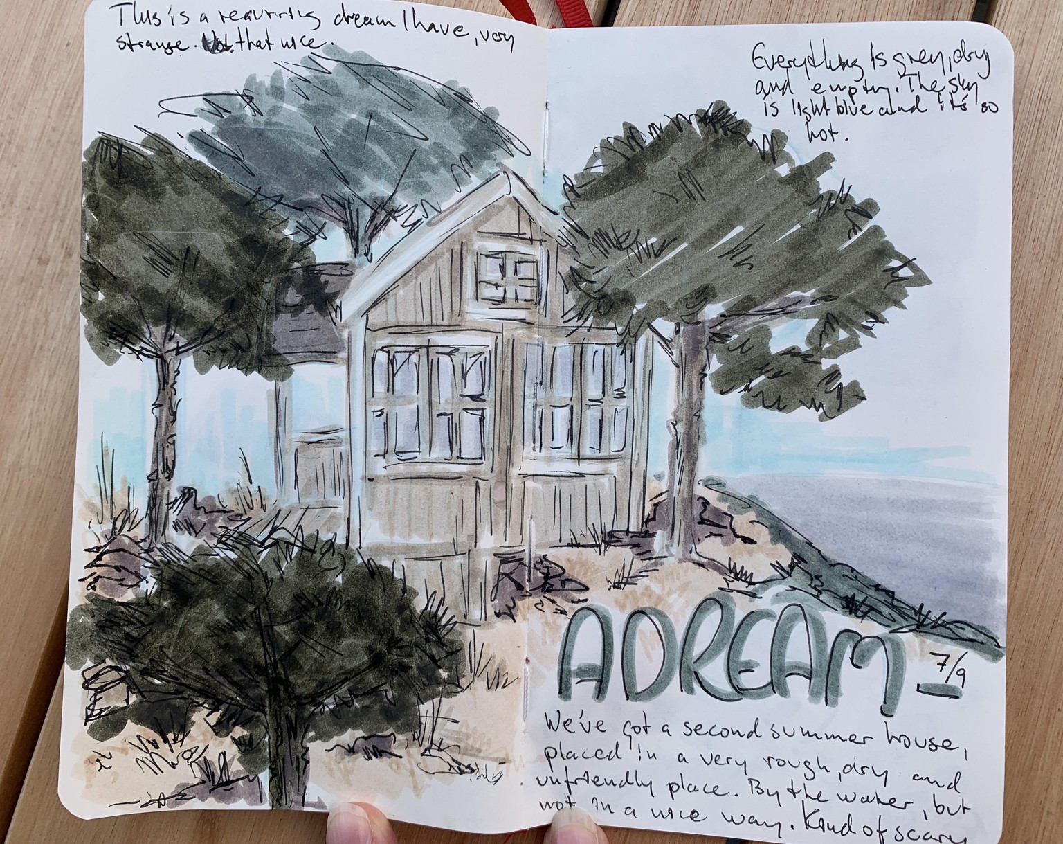 More from my illustrated journal - image 14 - student project